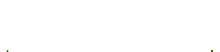 単品料理一覧