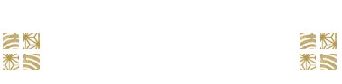 こんな時に