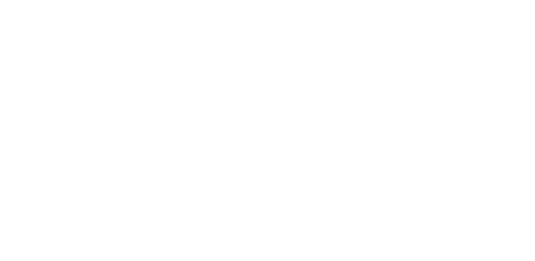 料亭で過ごす特別な時間